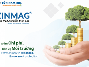ton-kem-zam-zinmag-nam-kim-viet-nam
